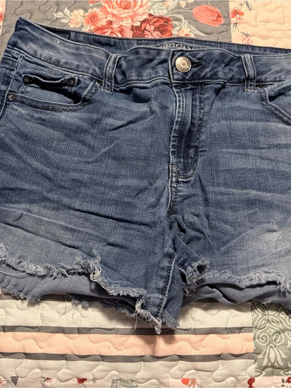 American Eagle Outfitters Blue Denim Frayed Cutoff Shorts